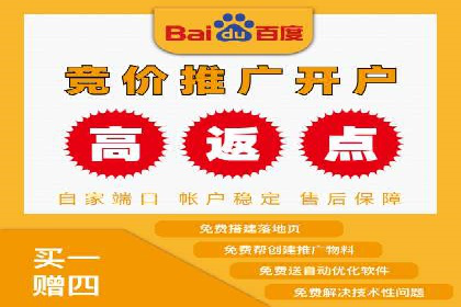 SEM竞价广告的智能优化：成功案例解读